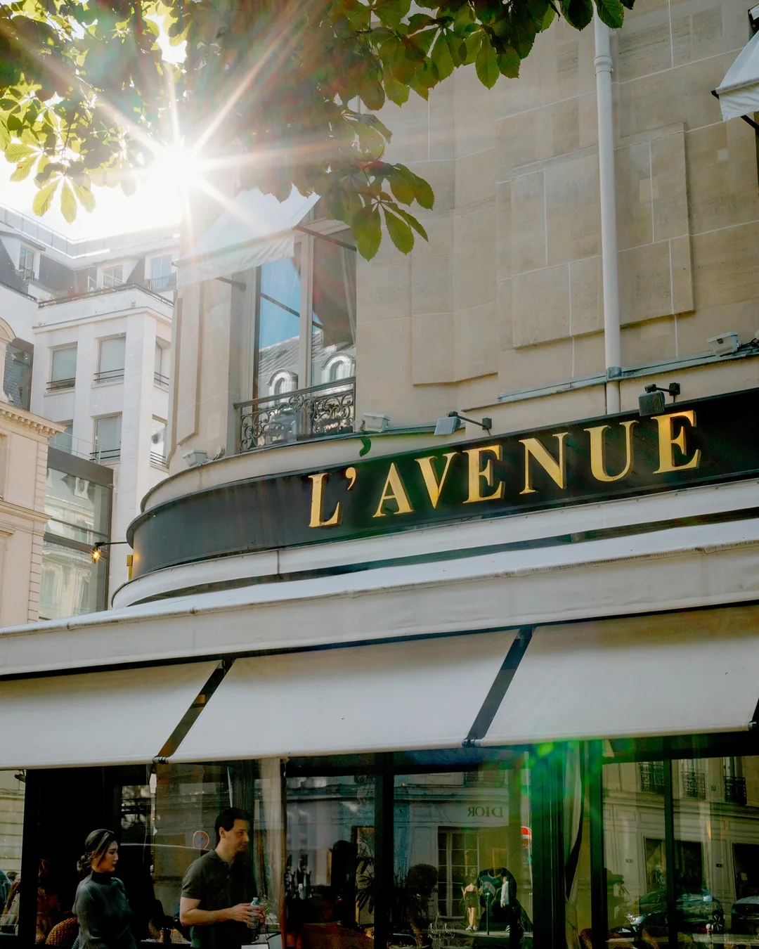 L'Avenue's gold sign in the afternoon sun through the chestnut leaves, people at the terrace below.